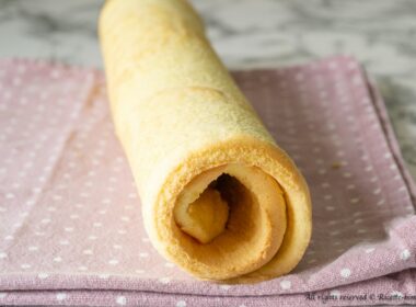 Thermomix Swiss Roll